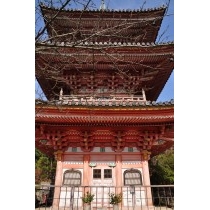 向上寺国宝三重塔
