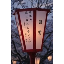 第5回おのみち俳句まつり（銀賞・夜）