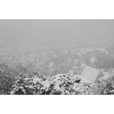 尾道市街地の雪景色