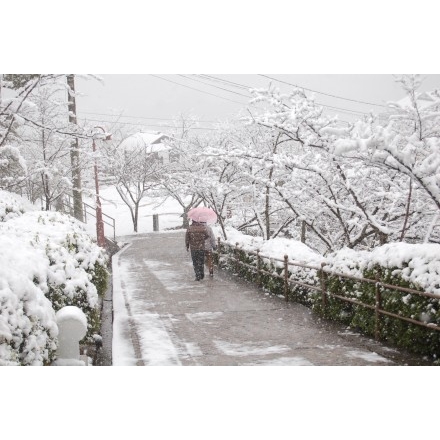 千光寺公園の雪景色