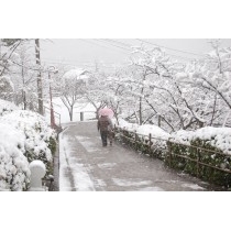 千光寺公園の雪景色