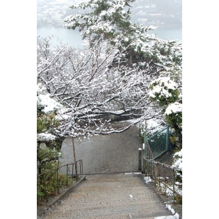 千光寺参道の雪景色