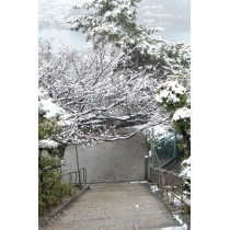 千光寺参道の雪景色