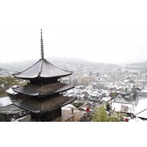天寧寺三重塔と雪景色