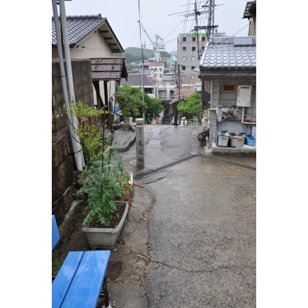 雨の持光寺参道