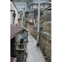 雨の古寺めぐりコース