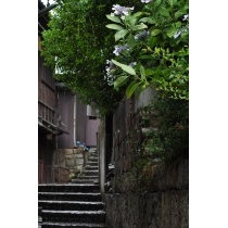 雨の志賀直哉旧居の路地