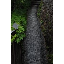雨の古寺めぐりコース