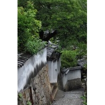 雨の古寺めぐりコース