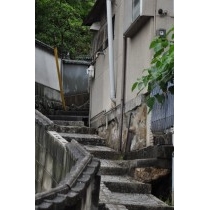 雨の古寺めぐりコース