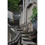 雨の古寺めぐりコース