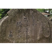 文学のこみち　3.正岡子規