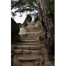 文学のこみち