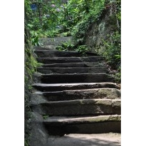 猫の細道の福石猫