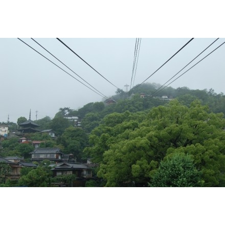 雨の千光寺山