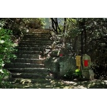 浄土寺山の観音の小路