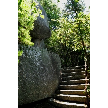 浄土寺山の観音の小路