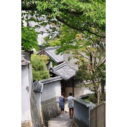 新緑の天寧寺坂