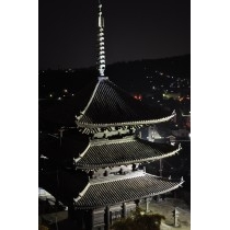 ライトアップされた天寧寺三重塔