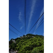 千光寺山にかかる飛行機雲
