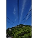 千光寺山にかかる飛行機雲