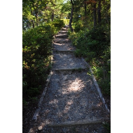 鳴滝山の登山道