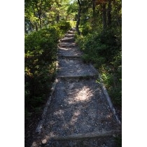 鳴滝山の登山道