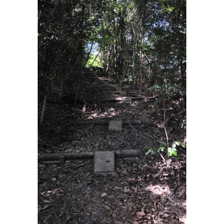 鳴滝山の登山道