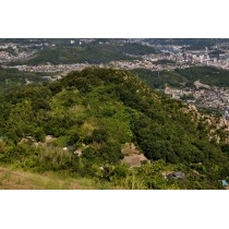 鳴滝山から見る鳴滝山城跡