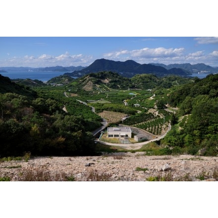 中野ダムから見た風景