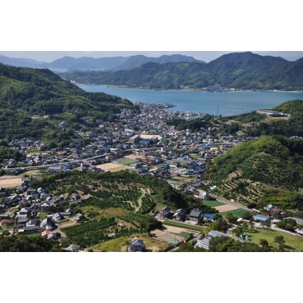 白滝山から見る因島重井町一帯