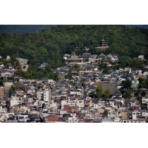岩屋山から見る西國寺一帯