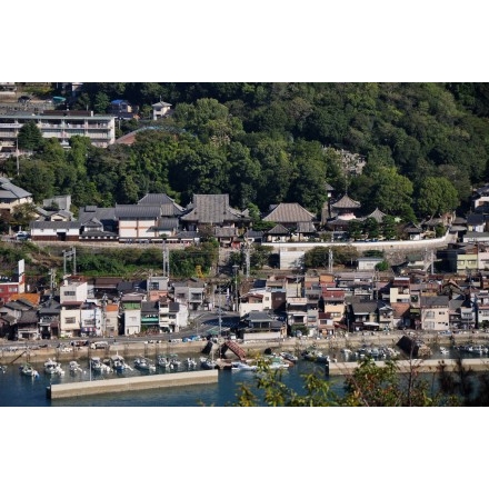 岩屋山から見る浄土寺一帯