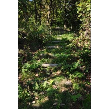 奥山登山道