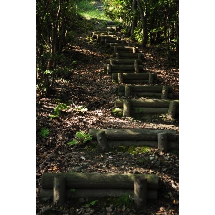 奥山登山道