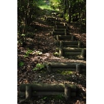 奥山登山道