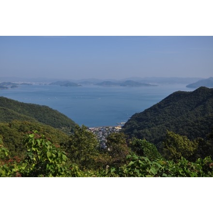 奥山登山道から見る椋浦地区