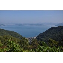 奥山登山道から見る椋浦地区