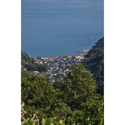 奥山登山道から見る椋浦地区