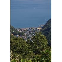 奥山登山道から見る椋浦地区