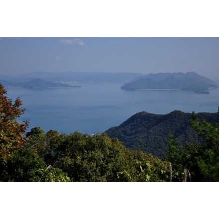 奥山登山道から見る風景