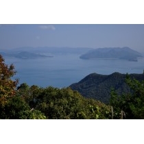 奥山登山道から見る風景