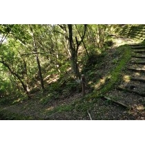 奥山〜青影山ハイキングコース