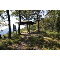 青影山登山道