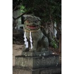 艮神社（因島椋浦町）の狛犬
