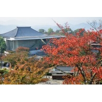 秋の千光寺公園