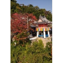 秋の千光寺公園
