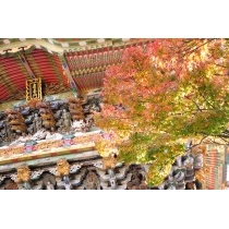 耕三寺の紅葉