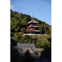西國寺三重塔