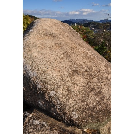 西國寺山のタンク岩